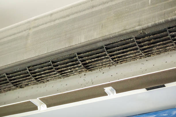 Best Air Duct Cleaning Near Me  in Huntington Park, CA